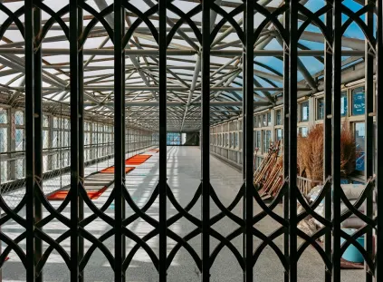 Paripesa Casino Application mobile